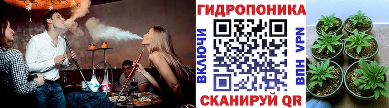 Конопля Amnesia  даркнет Telegram  Правдинск 